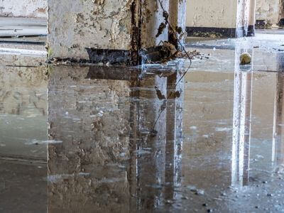 About Delta Shield Restoration - basement flooding experts in Lake Providence
